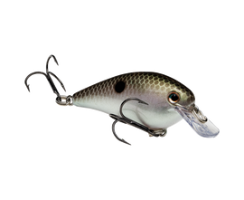 Buy green-gizzard-shad STRIKE KING KVD 1.0 SQUAREBILL CRANKBAIT