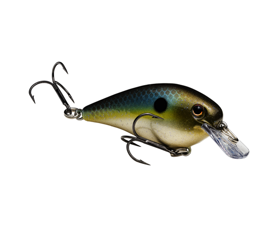 STRIKE KING KVD 1.0 SQUAREBILL CRANKBAIT