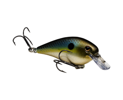 STRIKE KING KVD 1.0 SQUAREBILL CRANKBAIT