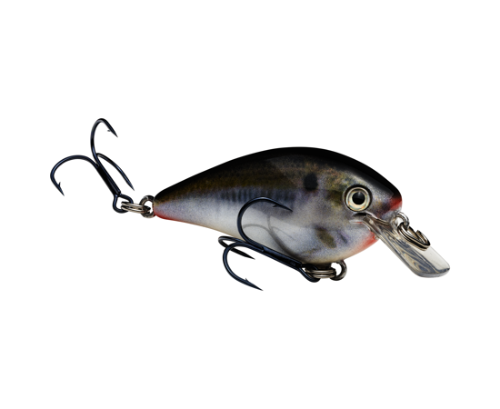 STRIKE KING KVD 1.0 SQUAREBILL CRANKBAIT