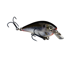 Buy natural-shad STRIKE KING KVD 1.0 SQUAREBILL CRANKBAIT