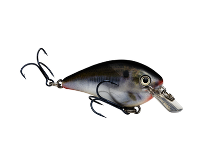 STRIKE KING KVD 1.0 SQUAREBILL CRANKBAIT