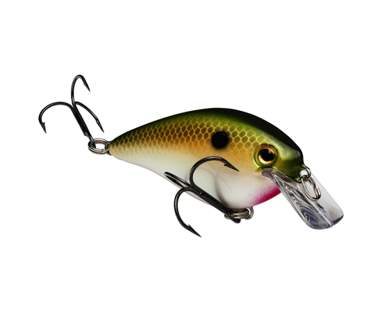 STRIKE KING KVD 1.5 SQUAREBILL CRANKBAIT