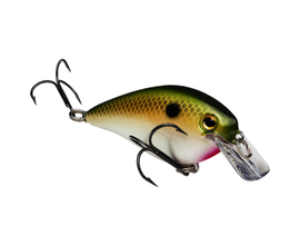Buy tn-shad STRIKE KING KVD 1.5 SQUAREBILL CRANKBAIT