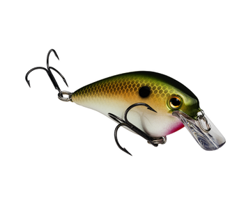 Buy tn-shad STRIKE KING KVD 1.5 SQUAREBILL