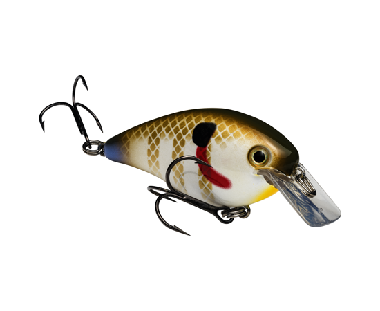 STRIKE KING KVD 1.5 SQUAREBILL CRANKBAIT