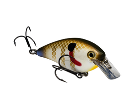 Buy sexy-sunfish STRIKE KING KVD 1.5 SQUAREBILL CRANKBAIT
