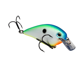 Buy citrus-shad STRIKE KING KVD 1.5 SQUAREBILL CRANKBAIT