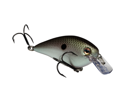 STRIKE KING KVD 1.5 SQUAREBILL CRANKBAIT