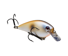 Buy oyster STRIKE KING KVD 1.5 SQUAREBILL CRANKBAIT