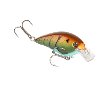 Buy table-rock-craw STRIKE KING KVD 1.5 SQUAREBILL