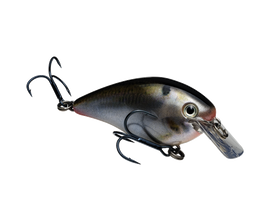 Buy natural-shad STRIKE KING KVD 1.5 SQUAREBILL CRANKBAIT