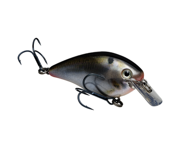 Buy natural-shad STRIKE KING KVD 1.5 SQUAREBILL