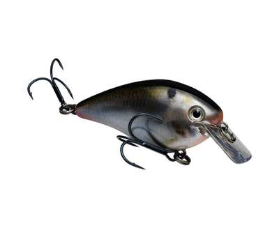 STRIKE KING KVD 1.5 SQUAREBILL CRANKBAIT