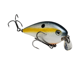 Buy sexy-shad STRIKE KING KVD 1.5 SHALLOW SQUAREBILL CRANKBAIT