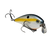 Sexy Shad