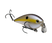Chartreuse Shad