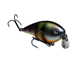 Buy neon-bluegill STRIKE KING KVD 1.5 SHALLOW SQUAREBILL CRANKBAIT