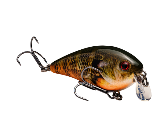 STRIKE KING KVD 1.5 SHALLOW SQUAREBILL CRANKBAIT