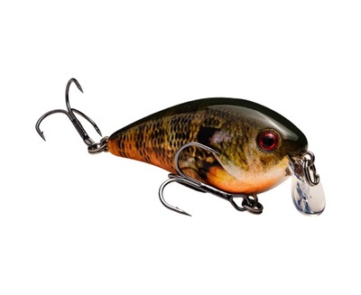 STRIKE KING KVD 1.5 SHALLOW SQUAREBILL CRANKBAIT