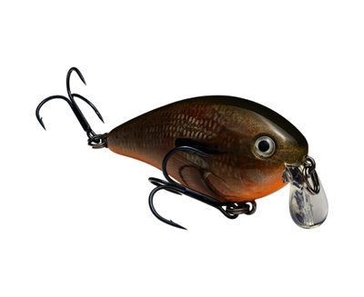 STRIKE KING KVD 1.5 SHALLOW SQUAREBILL CRANKBAIT
