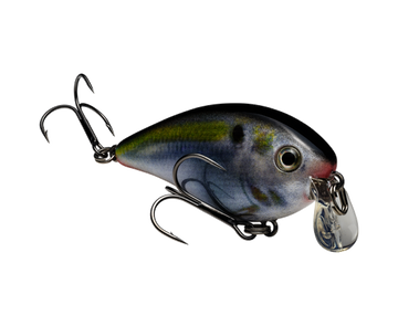 Buy natural-shad STRIKE KING KVD 1.5 SHALLOW SQUAREBILL CRANKBAIT