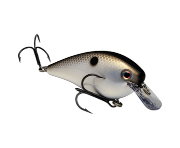 Buy gizzard-shad STRIKE KING KVD 2.5 SQUAREBILL