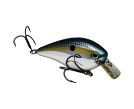 Buy chrome-sexy-shad STRIKE KING KVD 2.5 SQUAREBILL CRANKBAIT