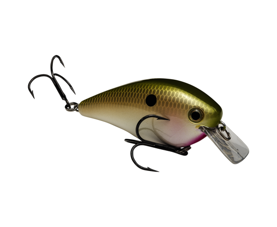 STRIKE KING KVD 2.5 SQUAREBILL CRANKBAIT