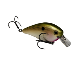 Buy tn-shad STRIKE KING KVD 2.5 SQUAREBILL CRANKBAIT