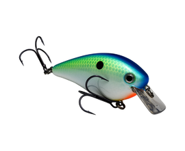 Buy citrus-shad STRIKE KING KVD 2.5 SQUAREBILL CRANKBAIT