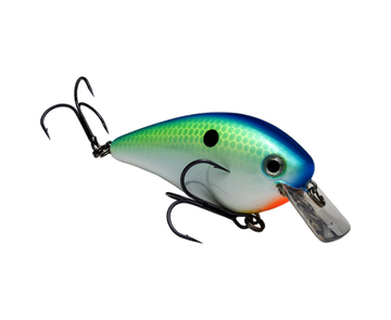 Buy citrus-shad STRIKE KING KVD 2.5 SQUAREBILL