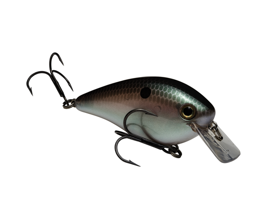STRIKE KING KVD 2.5 SQUAREBILL CRANKBAIT