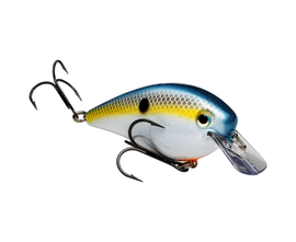 Buy sexy-shad STRIKE KING KVD 2.5 SQUAREBILL CRANKBAIT