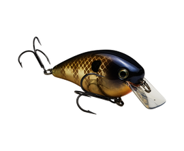 Buy blue-gill STRIKE KING KVD 2.5 SQUAREBILL CRANKBAIT