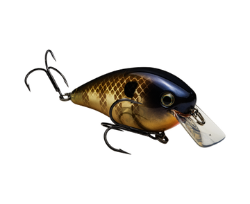 Buy blue-gill STRIKE KING KVD 2.5 SQUAREBILL