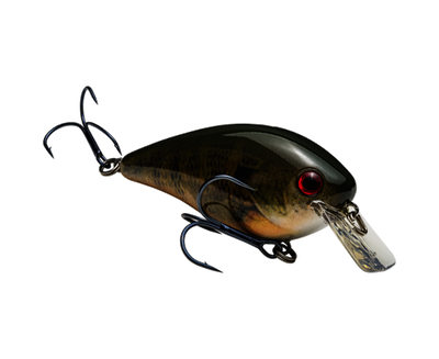 STRIKE KING KVD 2.5 SQUAREBILL CRANKBAIT