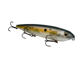 STRIKE KING KVD SEXY DAWG TOPWATER