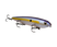 Chartreuse Shad