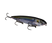 Natural Shad