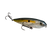 Clear Sexy Shad