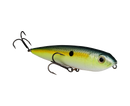STRIKE KING KVD SEXY DAWG JR TOPWATER-3