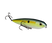 Chartreuse Sexy Shad