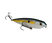 Sexy Shad
