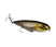 Clearwater Minnow