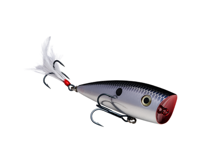 STRIKE KING KVD SPLASH POPPER