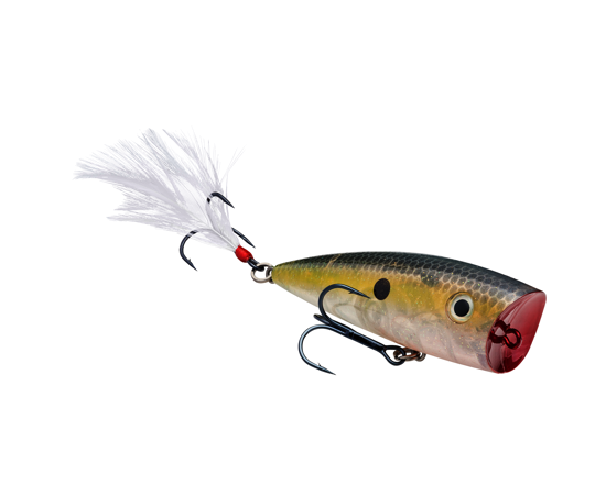 STRIKE KING KVD SPLASH POPPER