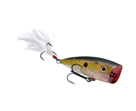 Buy clear-ghost-sexy-shad STRIKE KING KVD SPLASH POPPER