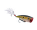 Clear Ghost Sexy Shad
