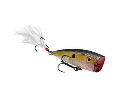 STRIKE KING KVD SPLASH POPPER